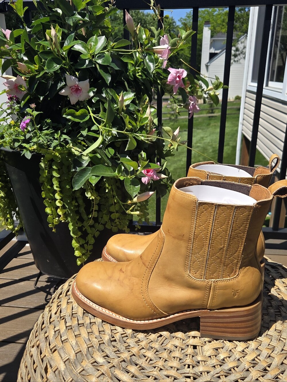 Anthropologie FRYE Campus 14L Women's Boots Leather Tan Banana NEW - Picture 6 of 15